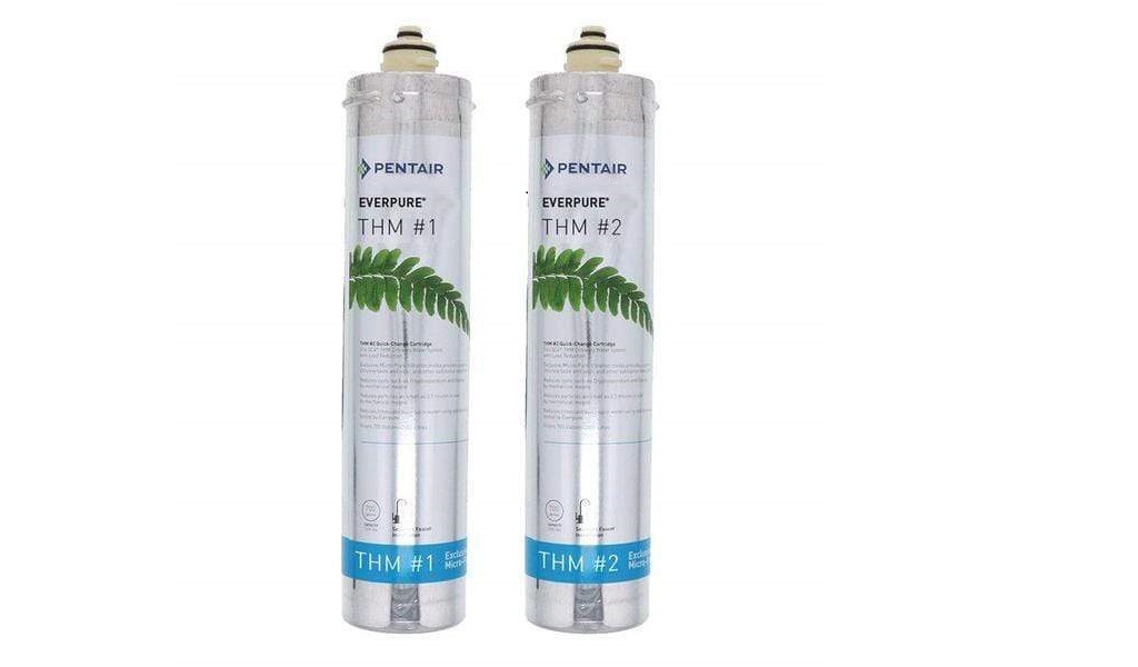 How Regular Everpure Water Filter Replacement Help Maintain Clean