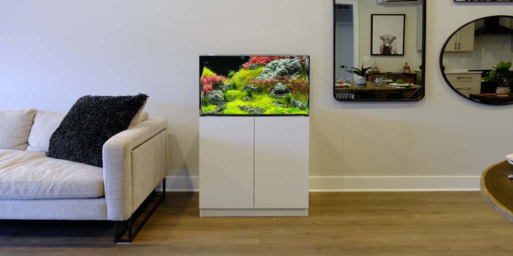 aquarium kit