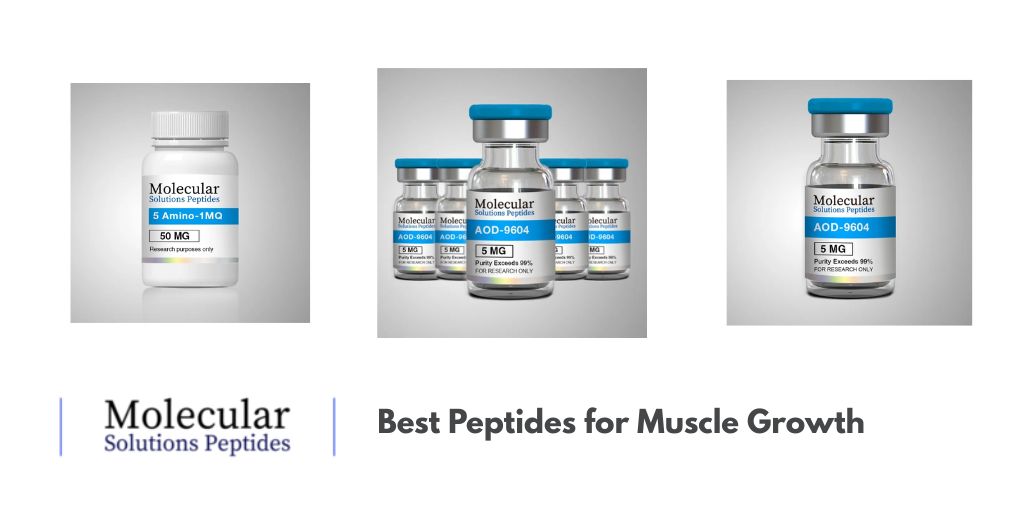 Best Peptides for Muscle Growth