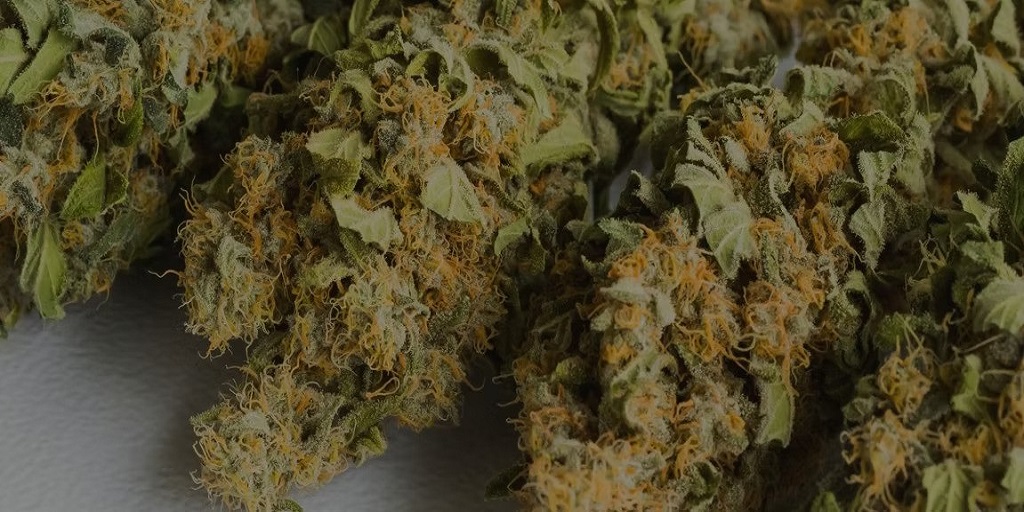 best carts for high tolerance