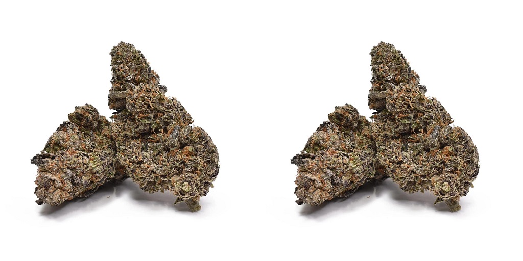 dispensary in Virginia1024